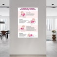 thumbnail image 2 of Common Breastfeeding Positions Guide Poster (2) Canvas Painting Wall Art Poster for Bedroom Living Room Decor, 2 of 4