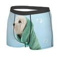 thumbnail image 2 of Kll Dog Wrapped In Towel Men'S Cotton Boxer Briefs Underwear-Large, 2 of 9