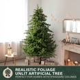thumbnail image 4 of Fraser Hill Farm 7.5-Ft. Foxtail Pine Christmas Tree, FFFX075-0GR, 4 of 11