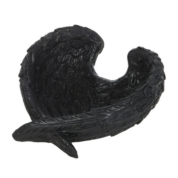 Something Different Raven Wings Trinket Dish