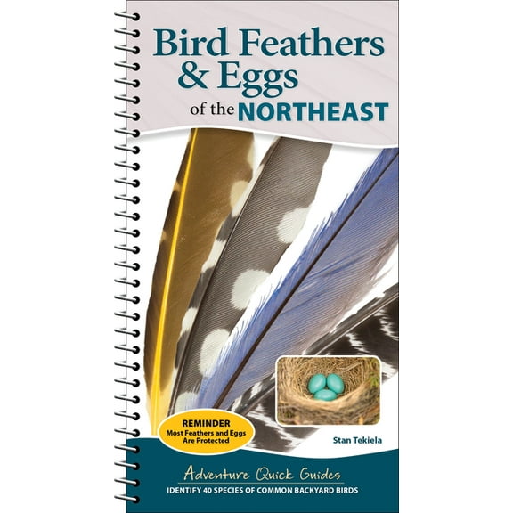 Adventure Quick Guides Bird Feathers & Eggs of the Northeast: Identify 40 Species of Common Backyard Birds, (Spiral-Bound)