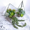 thumbnail image 3 of 24 plantas suculentas artificiales decorativas para pared, 3 of 7