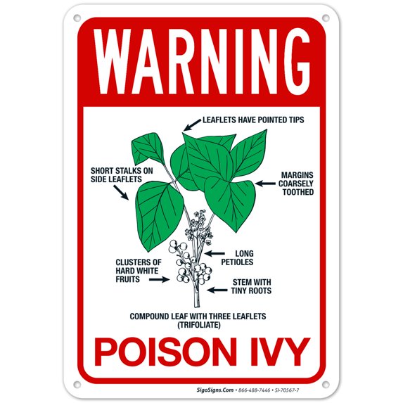 Warning Poison Ivy Sign,