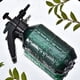 thumbnail image 3 of Billuyoard Regadera de 2L para flores, rociador de hierbas, botella de Spray de presión de aire Manual, suministros para el hogar, centros Jardín y Patio Verde, 3 of 6