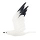 thumbnail image 2 of 2pcs Flying Seagull Ornament Jardín Escultura Interior / Exterior Paisaje Casa Césped Decoración Tamaño, 2 of 9