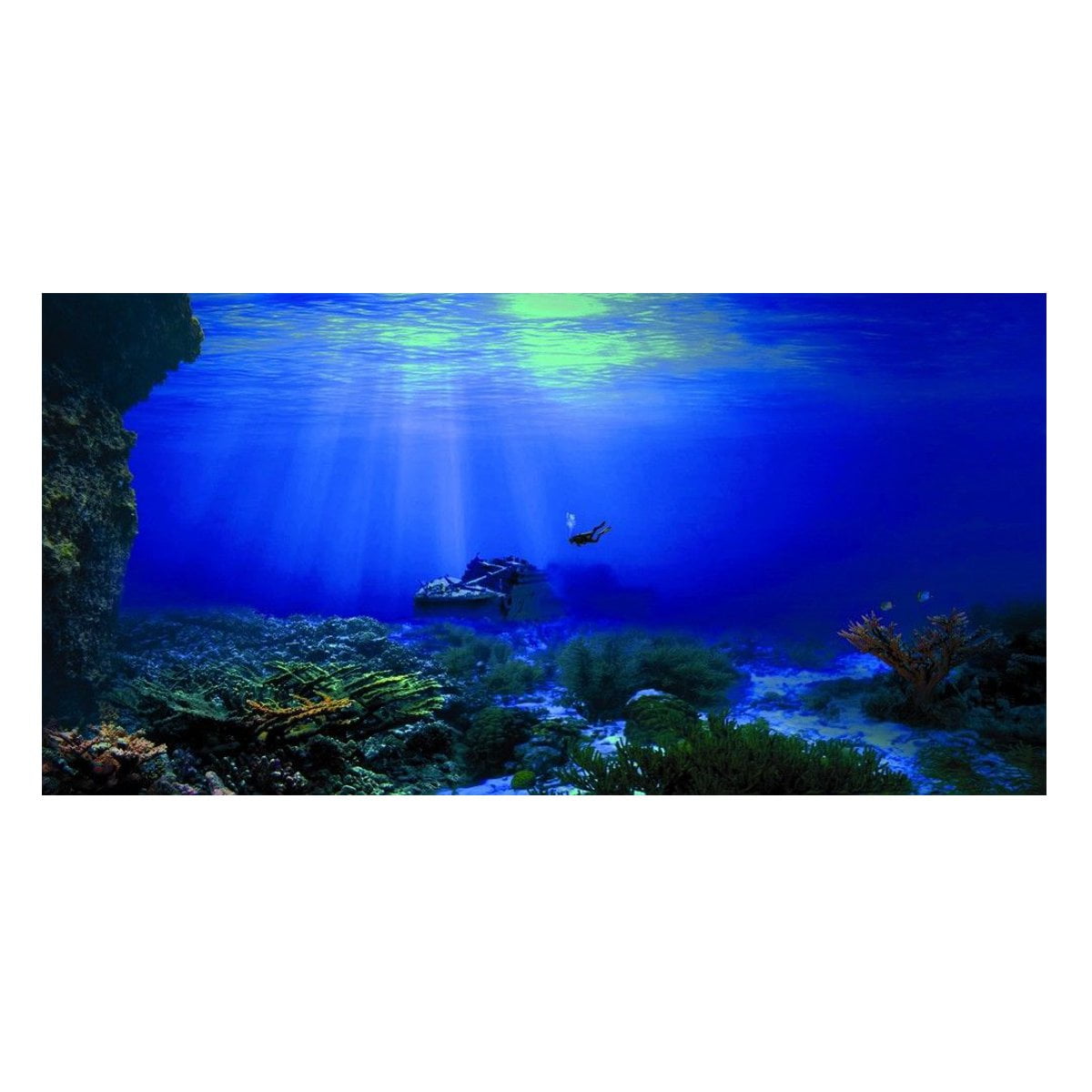 aquarium backgrounds canada