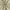 Taupe, variant on Sun Zero Vance 2-Piece Magnetic Closure 100% Blackout Back Tab Curtain Panel Pair, 37"x84", Sage Green