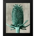 thumbnail image 2 of Vision Studio 20x24 Black Modern Framed Museum Art Print Titled - Blossfeldt Redeux V, 2 of 5