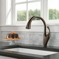 thumbnail image 5 of Delta Addison Single Handle Kitchen Faucet, Venetian Bronze | 9192T-RB-DST, 5 of 5