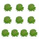 thumbnail image 2 of 10 piezas de suculentas falsas Advancent PVC Flores artificiales tipo 14, 2 of 6