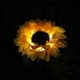 thumbnail image 5 of De Girasol Luz De Estaca De Jardín Luz Led Impermeable Para La Decoración De La Pasarela Del Porche De La Yarda sonducket HA043062-01, 5 of 6