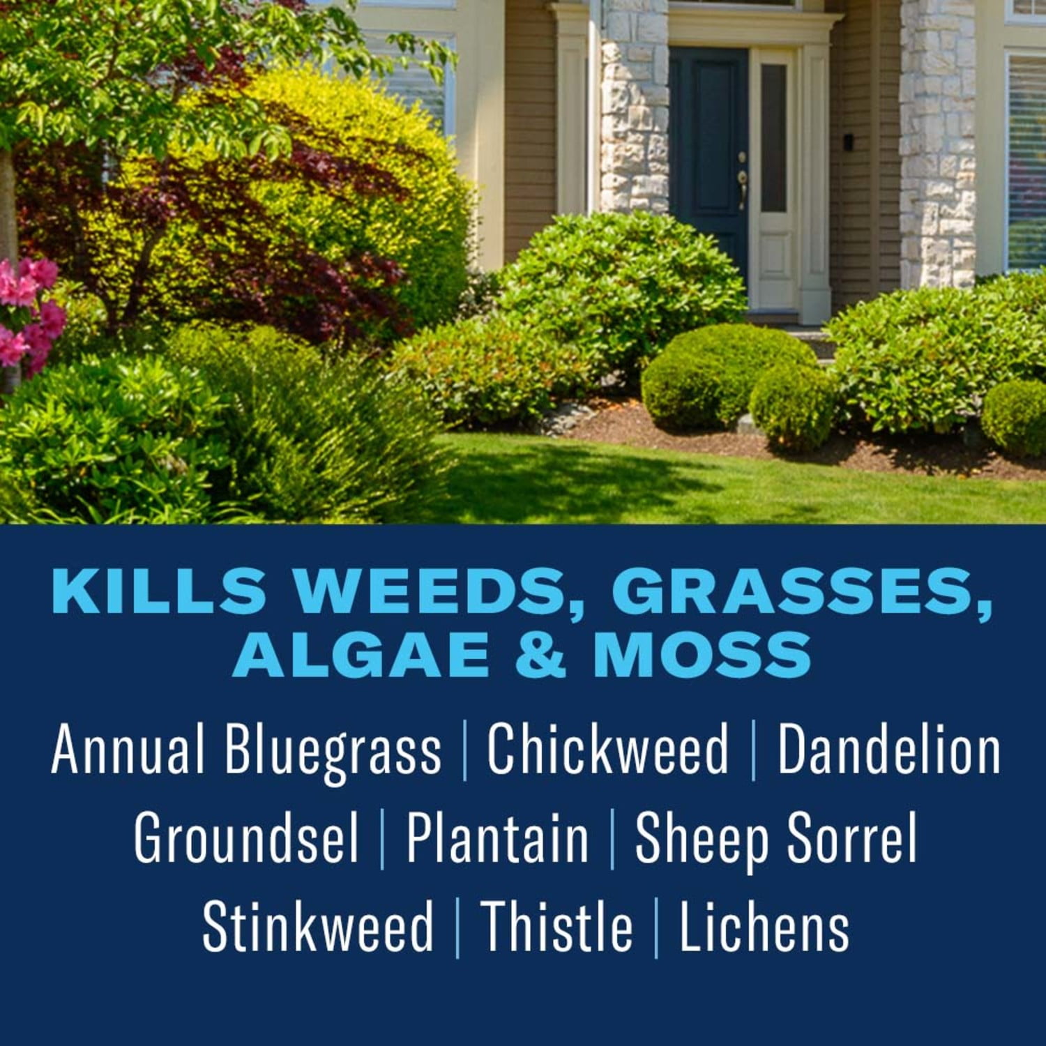 BioAdvanced Organics Brand Weed & Grass Killer, Ready-to-Use, 24 oz (2-Pack)