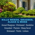 thumbnail image 2 of BioAdvanced Organics Brand Weed & Grass Killer, Ready-to-Use, 24 oz (2-Pack), 2 of 6