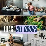 EarthSential Odor Eliminating Spray, Odor Eraser, Light Citrus, 8oz, Deodorizer and Air Freshener, Plant Based