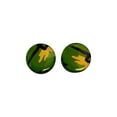 thumbnail image 1 of Pair of Green Camouflage Acrylic Screw Fit Ear Plugs, 1 of 4