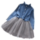 thumbnail image 1 of Vestidos de niña pequeña Vestido de mezclilla de manga larga para niñas Ropa Tutu Vestido de fiesta Vestido de fiesta Primavera Otoño Ropa de bebé Vestidos18-24M (Etiqueta 90) Gao Jinjia LED, 1 of 2