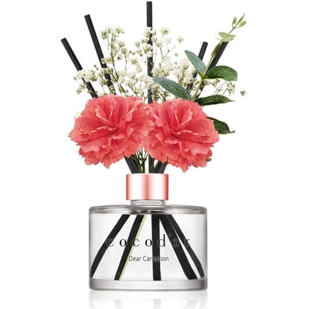 Cocodor Carnation Reed Diffuser/Dear Carnation / 6.7oz(200ml) / 1 Pack ...