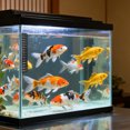thumbnail image 4 of BESTYASH 10Ud Termométricas Autoadhesivas Para Acuario Y Terrario Medición Precisa Y Resistente, 4 of 8