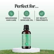 Maple Holistics Eucalyptus Essential Oil for Aromatherapy, 1 Fl Oz