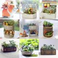 thumbnail image 4 of Maceta de resina para cactus, suculentas y plantas del bosque, 9 tipos, 4 of 9