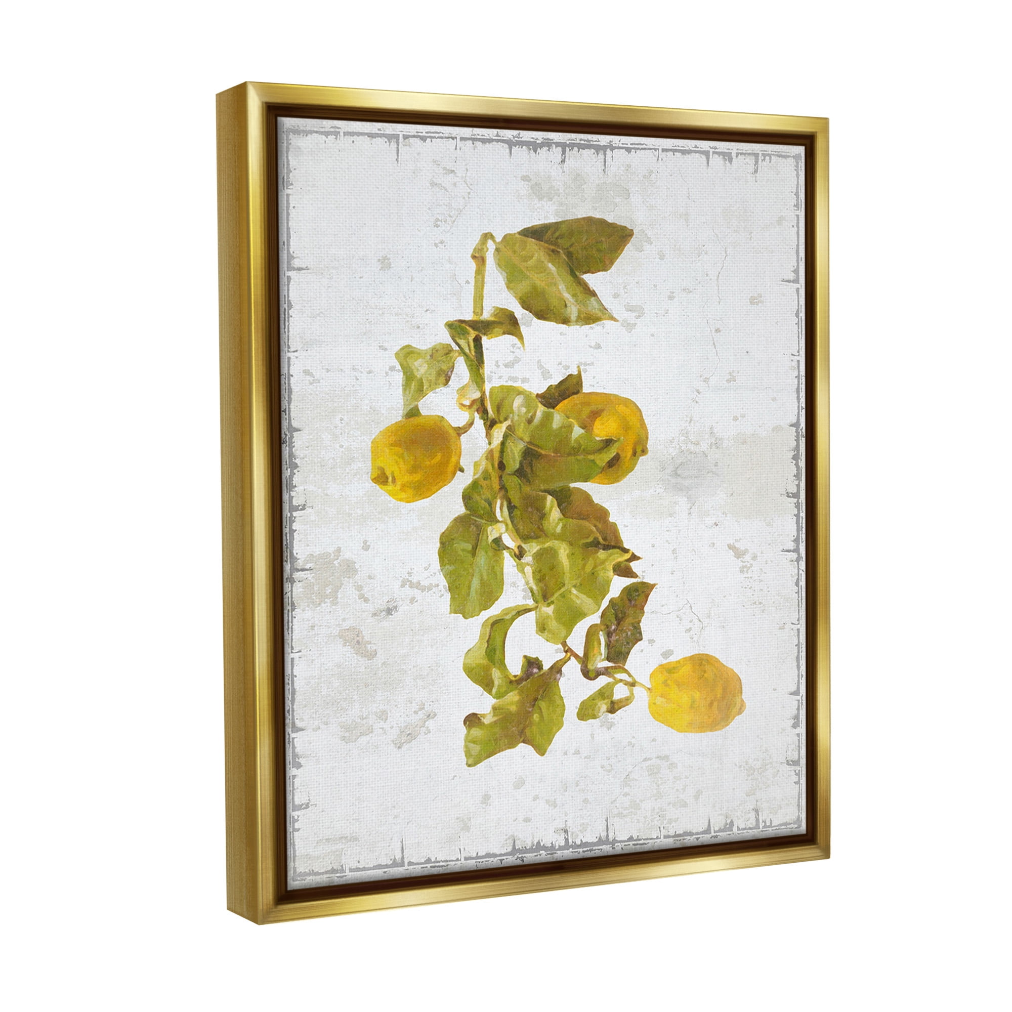 Stupell Industries Natural Lemon Fruits Food & Beverage Painting Gold Floater Framed Canvas Art Print Wall Art, 17 x 21