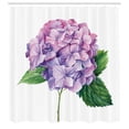 thumbnail image 2 of Ambesonne Hydrangea Shower Curtain, Watercolor Vintage Floral, 69"Wx75"L, Fern Green Pale Fuchsia, 2 of 4