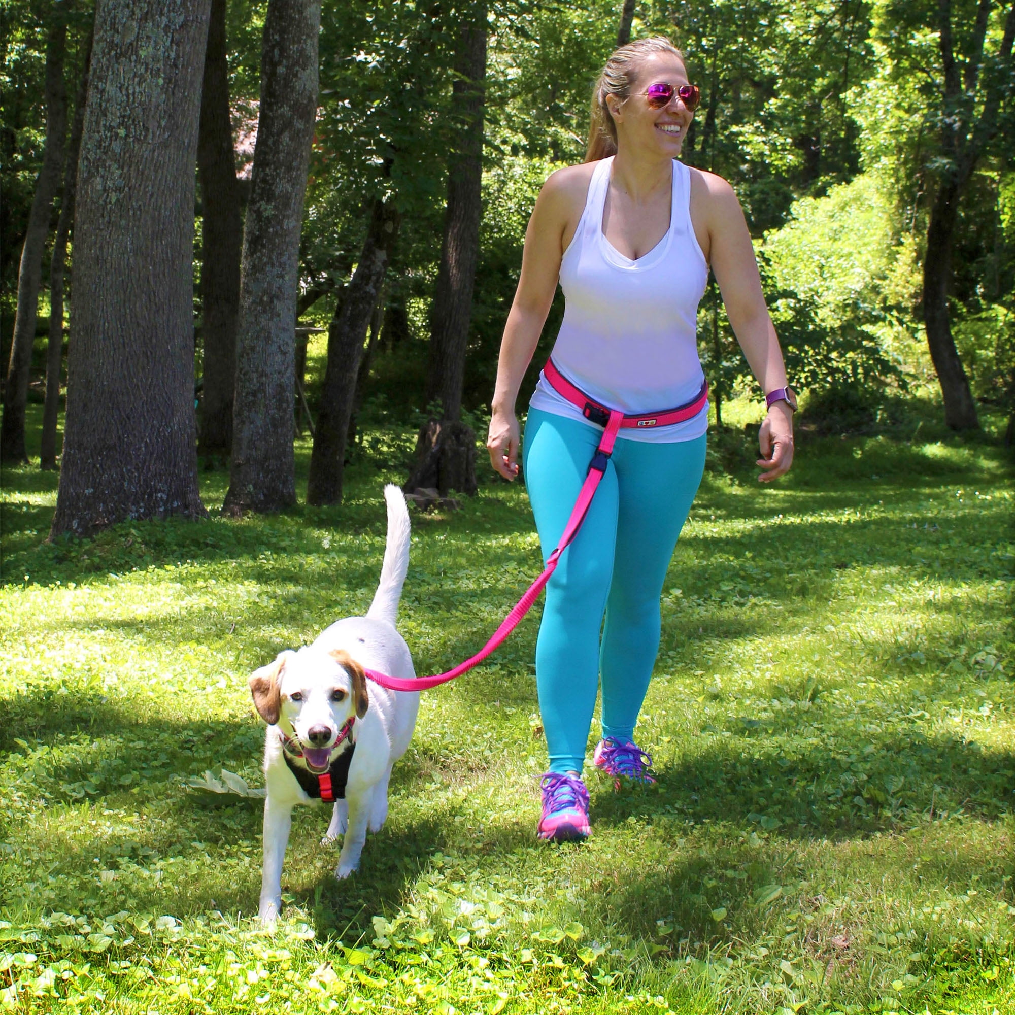Pawtitas Dog Running Leash Hands Free for Large and Medium Dogs Reflective Dog Running Leash - Black Leash