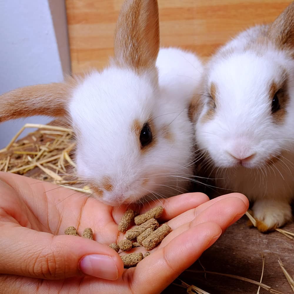 5 Pounds - Alfalfa Hay Pellets for Guinea Pigs, Rabbits, and More Small Animal Pets