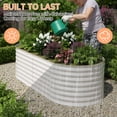 thumbnail image 4 of Galvanized Raised Garden Bed - Heavy Duty Oval Metal Planter Boxes, Rust-Resistant, Bottomless, Easy Assembly, Ergonomic for Vegetables, Flowers, Herbs, Fruits - 4x2x2 ft & 8x2x1.5 ft, 18–24" Tall, 4 of 9