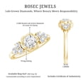 thumbnail image 4 of Rosec Jewels Lab Created Diamond Floral Promise Ring - EF-VS Quality Certified, 18K Yellow Gold, US 5.00, 4 of 5