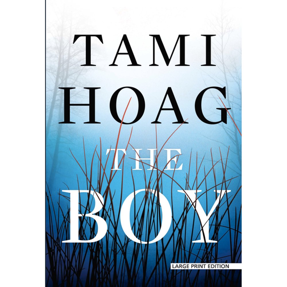 The Boy (Paperback)