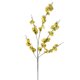 thumbnail image 1 of Orquídea de Baile del Pavo Real Amarilla: Decoración Zen para Hogar con Maceta de Plástico, Ideal para Ambientes Tranquilos y Elegantes., 1 of 6