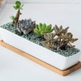 thumbnail image 4 of MIANGASTORE Rectangular Flowerpot Garden Ceramic Planter with Bamboo Saucer Desk Decor, 4 of 6