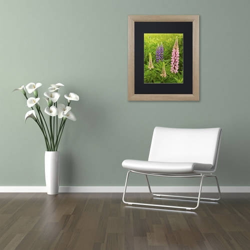 Trademark Fine Art "Lupine Family" Canvas Art by Michael Blanchette Photography Black Matte, Birch Frame