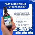 LIQUIDHEALTH Hot Spot Pet Topical Treatment Colloidal Silver Spray