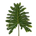 thumbnail image 1 of Vickerman 25 Pouces Potted Grand Philo Bush 8Lvs - TB180725, 1 of 2