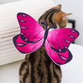 thumbnail image 4 of Pet Costume Butterfly Wing Realistic Kitten Clothes Dog Apparel for Halloween, 4 of 10