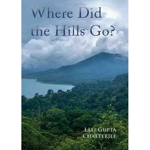 Where Did the Hills Go, (Paperback)