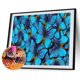 thumbnail image 2 of Wdftyju Pintura de diamante 5D DIY mariposa azul taladro redondo completo cuadro de diamantes de imitación Wdftyju 6ek5hy4wk7ku0px2, 2 of 9