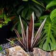 thumbnail image 6 of Large Tequila Rustic Sculpture, Rustic Metal Agave Plants for Outdoor Patio Yard, Home Decor Hand Painted Metal Agave,G, 6 of 8