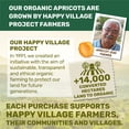 thumbnail image 6 of Happy Village Organic Soft Dried Apricots On the Go – 3 Bags (15 Individual Portion Packs) | Healthy, Organic, Non-GMO, Vegan, Kosher, Gluten-Free Snack Packs,Snack for School Lunches, 6 of 6