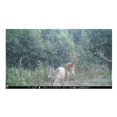 thumbnail image 3 of Browning Trail Cameras Strike Force Extreme 16MP Game Camera (2-Pack) Bundle), 3 of 9