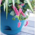 thumbnail image 4 of Bloem LP1060 Bloem 10 in. Lucca Planter Peppercorn LP1060, 4 of 4