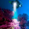 thumbnail image 4 of Eyfqtcs Xhp70 Led 1500Lm Potente Zoom Linterna De Buceo Submarino Con Cuerda De Mano, 4 of 9
