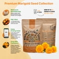 thumbnail image 4 of Marigold Flower Seeds Pack 1 oz - Over 9,250 Non-GMO Heirloom Flower Seeds for Planting, Annual Flowers in Individual Seed Packet for Planting Home Garden, 4 of 6