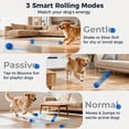thumbnail image 2 of Pelotas Interactivas para Perros Aquamorph Paquete de 2 para Perros Medianos y Grandes, 2 of 8