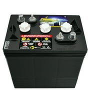 Crown Battery BCI Group GC2 6V 240AH Deep Cycle Golf Cart and Scrubber Battery X4