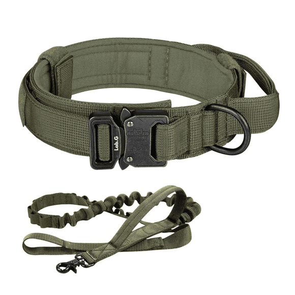 Collar Y Cuerda Para Perros Verde Militar Lab.G, talla XGRANDE