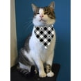 thumbnail image 2 of Dog Paws In Pattern Bandana  -Image by Shutterstock,  Medium, 2 of 4