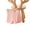 Pink, variant on AJZIOJIRO 5PCS Toddler Baby Girls Dance Undershorts for Play or Underdress Kids Lace Bike Shorts Trousers Casual Cotton Pants Underwear 2-10Y